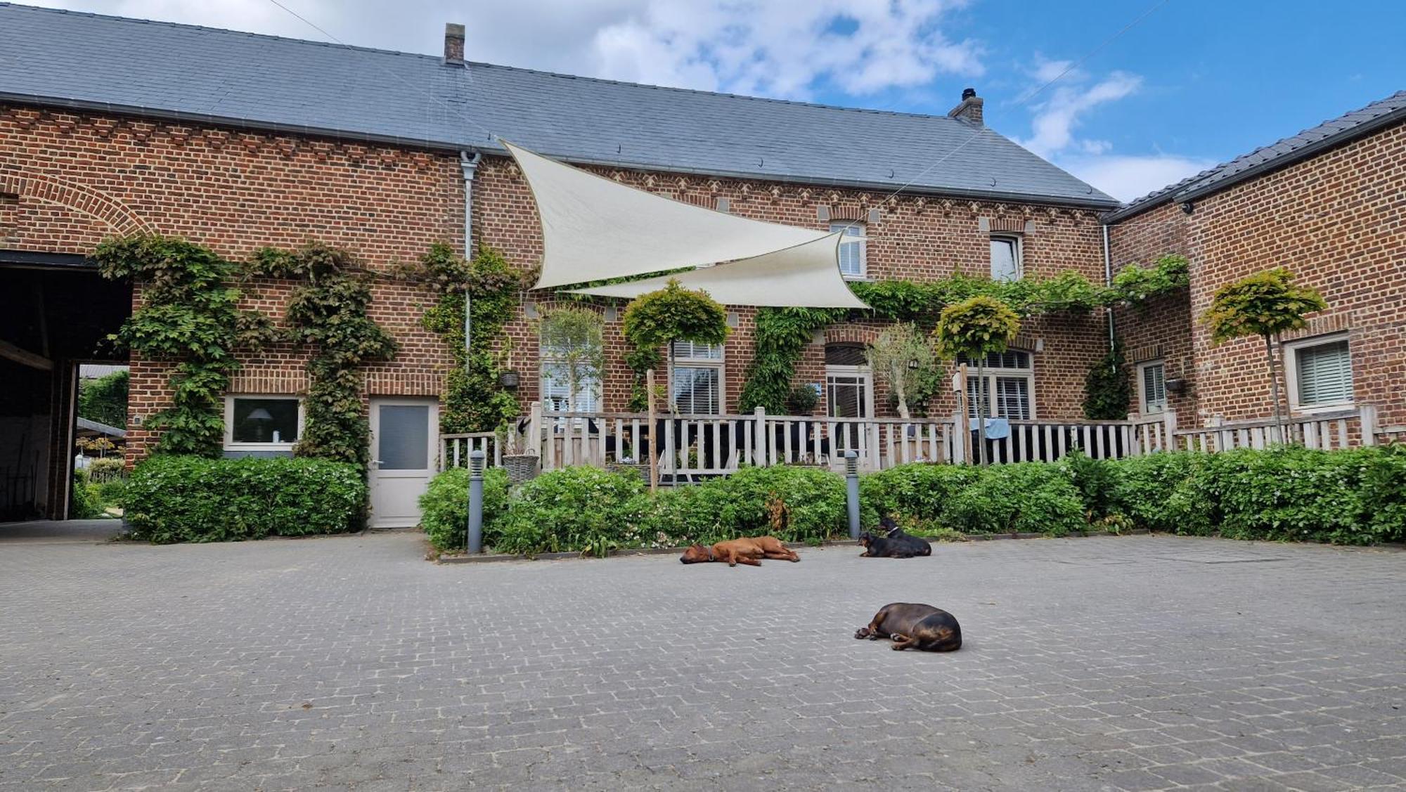 Guesthouse Biolleke Boutersem Dış mekan fotoğraf